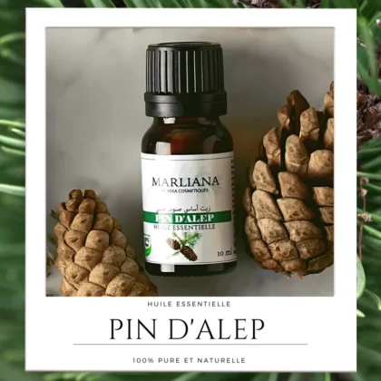 Huile essentielle de Pin d'Alep MARLIANA, bouteille d'huile essentielle de Pin d'Alep, diffusion d'huile essentielle de Pin d'Alep, application cutanée d'huile essentielle de Pin d'Alep