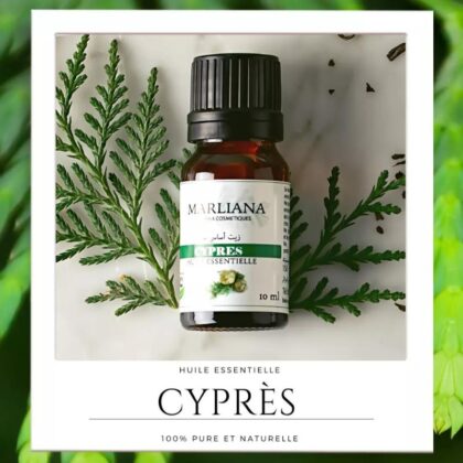 Huile Essentielle de Cyprès - MARLIANA (10 ml) - Tonus, Circulation, Transpiration