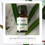 Huile essentielle d'Eucalyptus Globulus - 10 ml | MARLIANA
