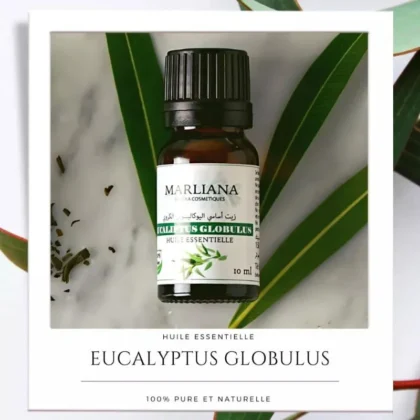 Huile essentielle d'Eucalyptus Globulus - 10 ml | MARLIANA