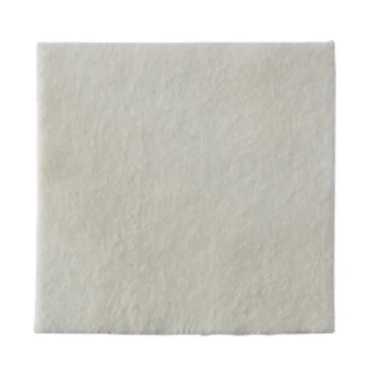 Biatain® Alginate - COLOPLAST