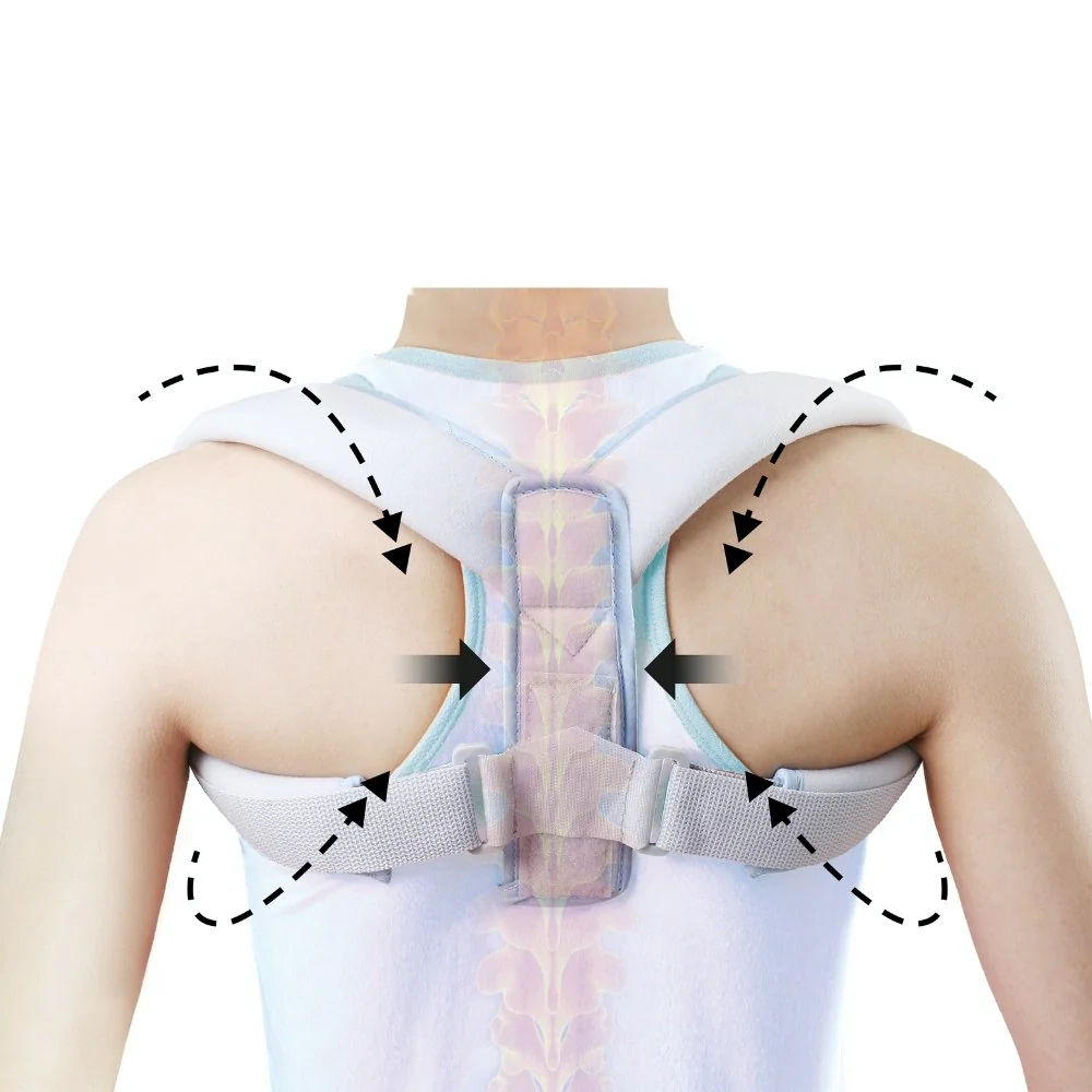 Support dorsal correcteur de posture réglable - Berbas